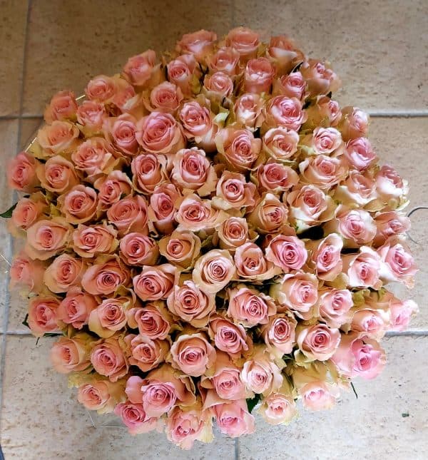 Oerend oudroze rozen