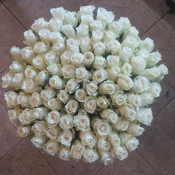 Witte rozen
