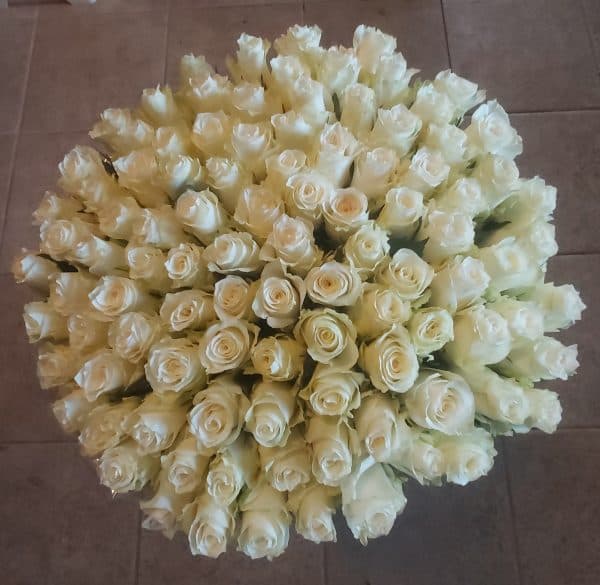 Witte rozen